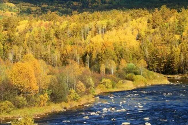 90.7�f(w��n)��핌��֯B����������ҕ�ڴ��d���X���o(h��)�ֹ���