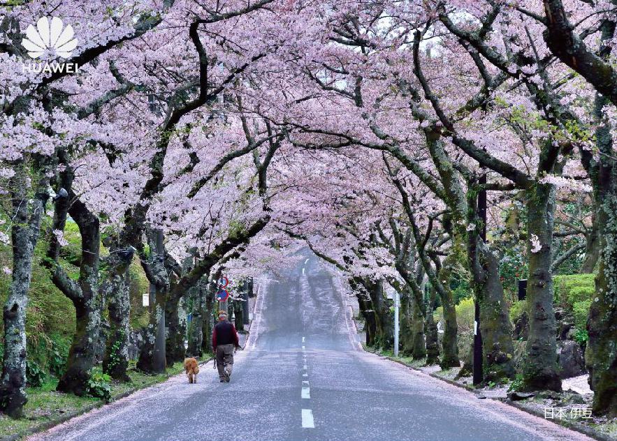 �µ�һ������Ҋ��������