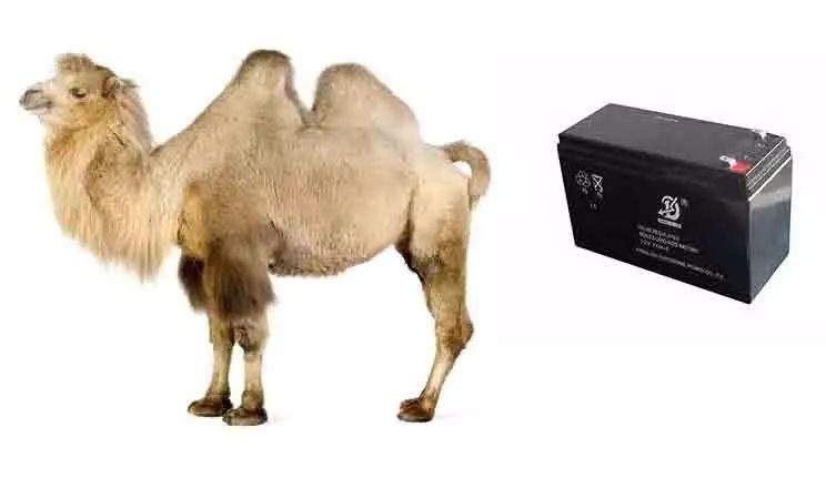 �T���Ă��á�θ��������늳ص����ú��B(y��ng)�o(h��)