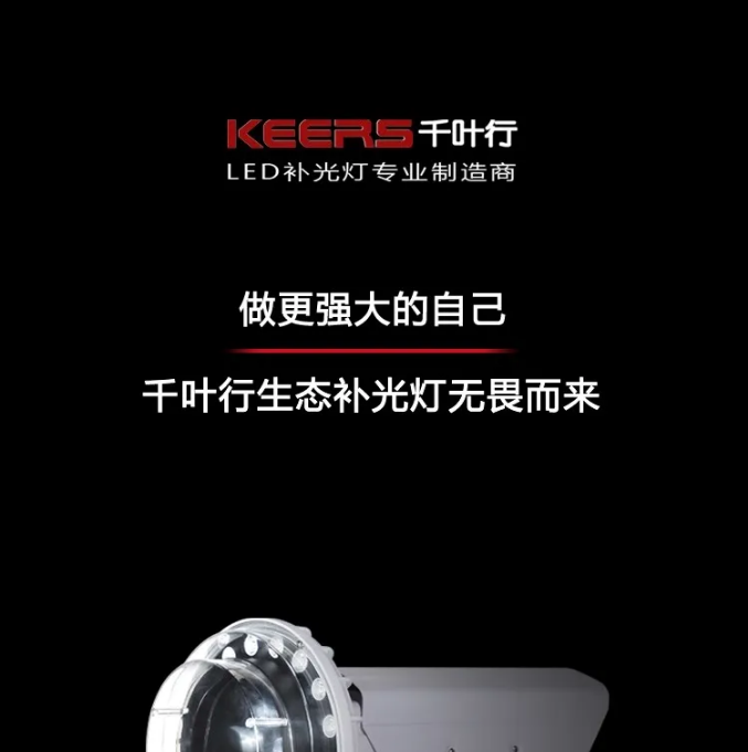 ǧ�~�����B(t��i)�a(b��)����oη����