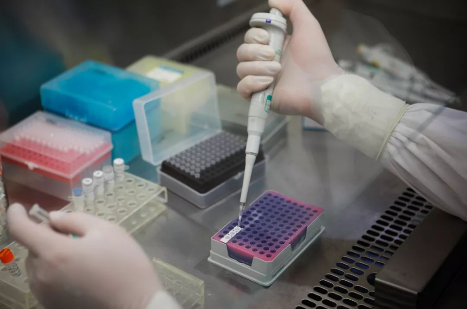 �ߵµ؈D��ʽ�Ͼ�������z�y�؈D�������wȫ�� 350 ����(g��)