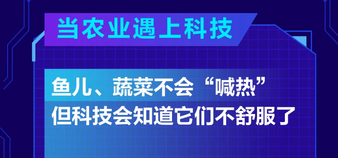 Ʒ���YӍ |�Ƿ������ϻ�����������ҕ���@Щ�ИI(y��)������