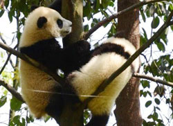 ��ǧ��ҹҕ�x�P(gu��n)���Ű�������؈